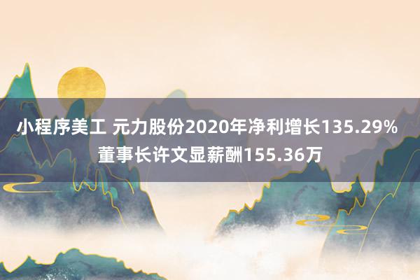 小程序美工 元力股份2020年净利增长135.29% 董事长许文显薪酬155.36万