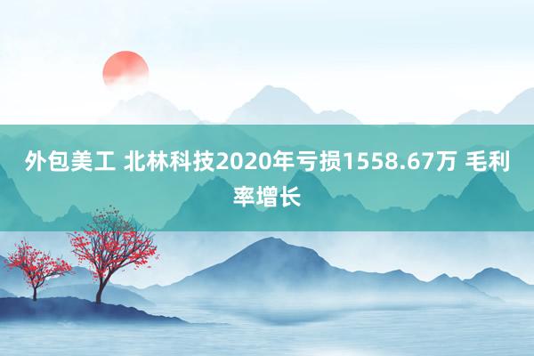 外包美工 北林科技2020年亏损1558.67万 毛利率增长