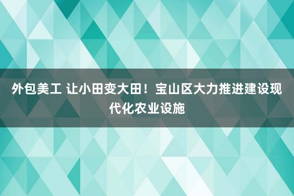 外包美工 让小田变大田！宝山区大力推进建设现代化农业设施