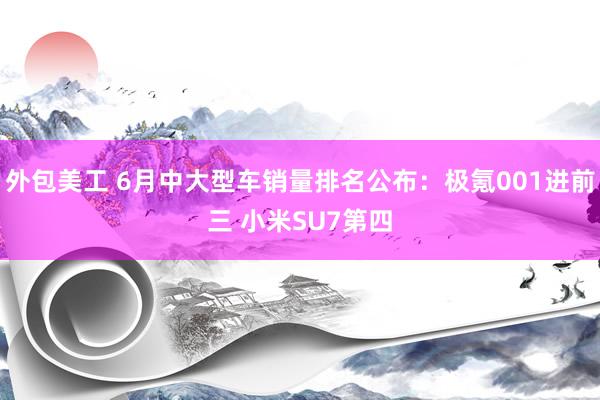 外包美工 6月中大型车销量排名公布：极氪001进前三 小米SU7第四