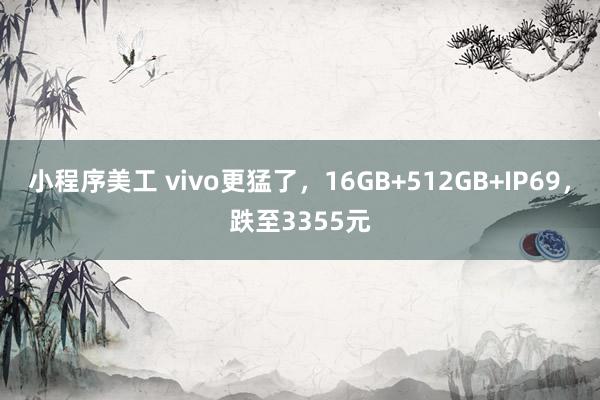 小程序美工 vivo更猛了，16GB+512GB+IP69，跌至3355元