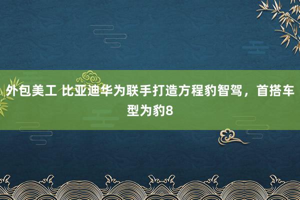 外包美工 比亚迪华为联手打造方程豹智驾，首搭车型为豹8